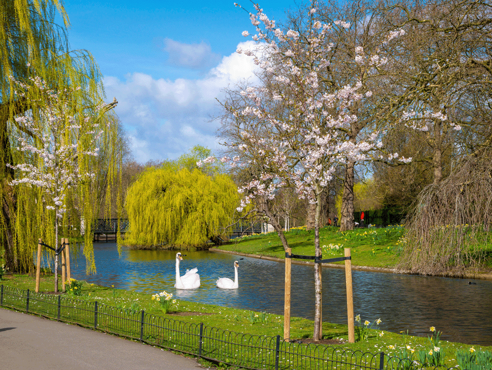 Regent s Park City of Westminster